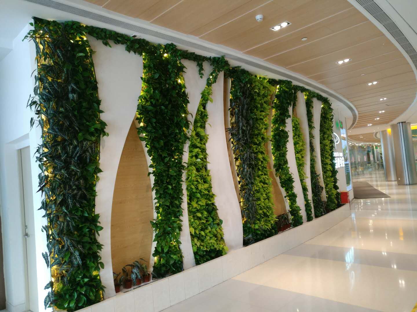 高考明天“热晴”开考  午后雷雨来“鼓劲”