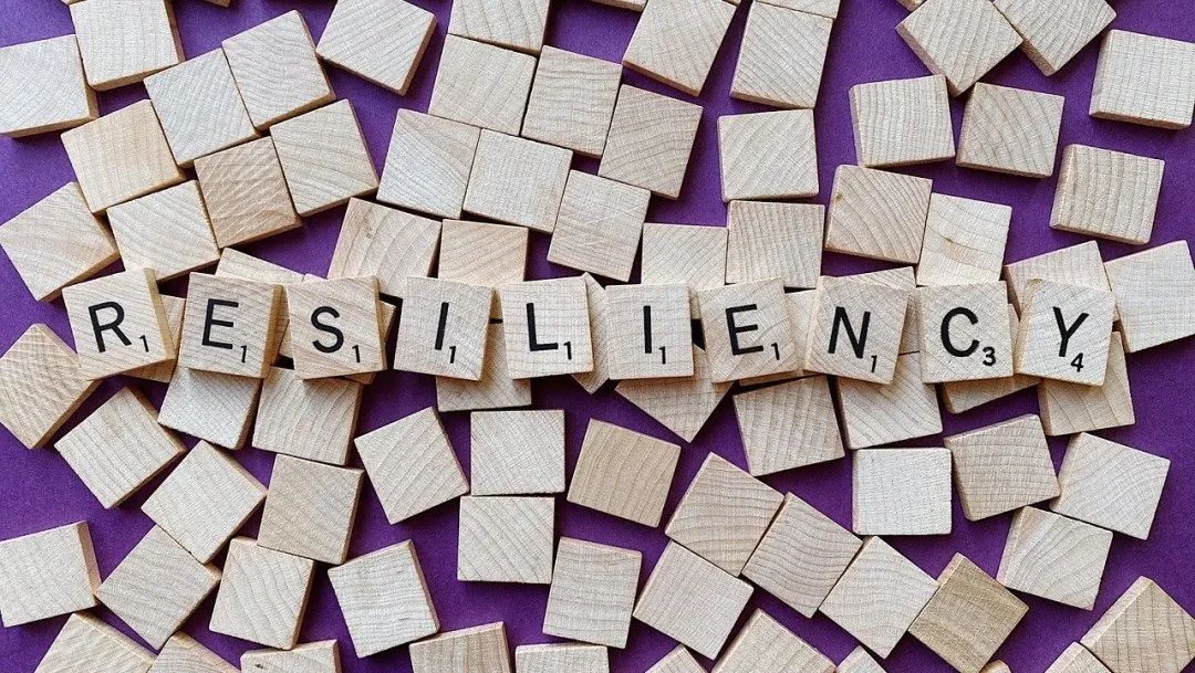 云南省市场监管局开展知识产权进校园宣传活动