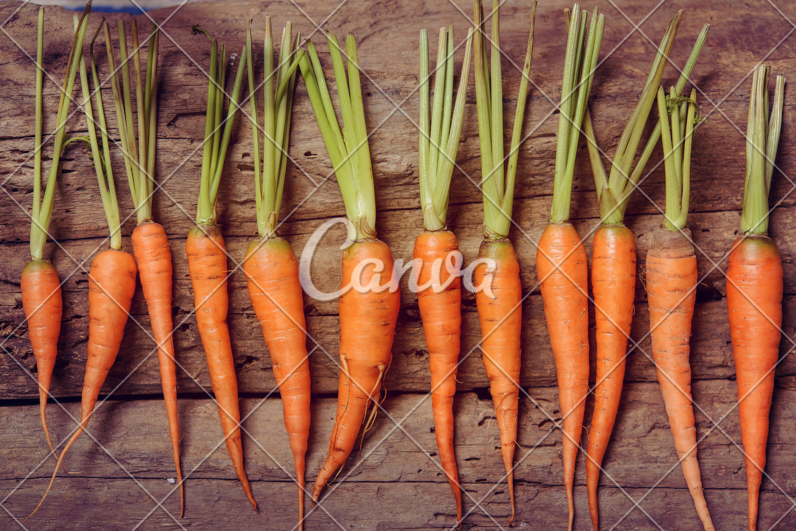 全椒县大墅镇：“粮田”变“良田” 科技护“粮”计