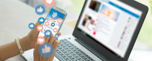 2025年桂平麻垌荔枝嘉年华系列活动开幕