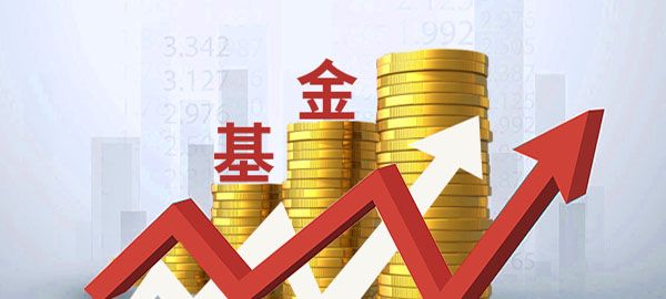 2025 年“中学生英才计划”安徽省师生见面会在 中国科学技术大学成功举行