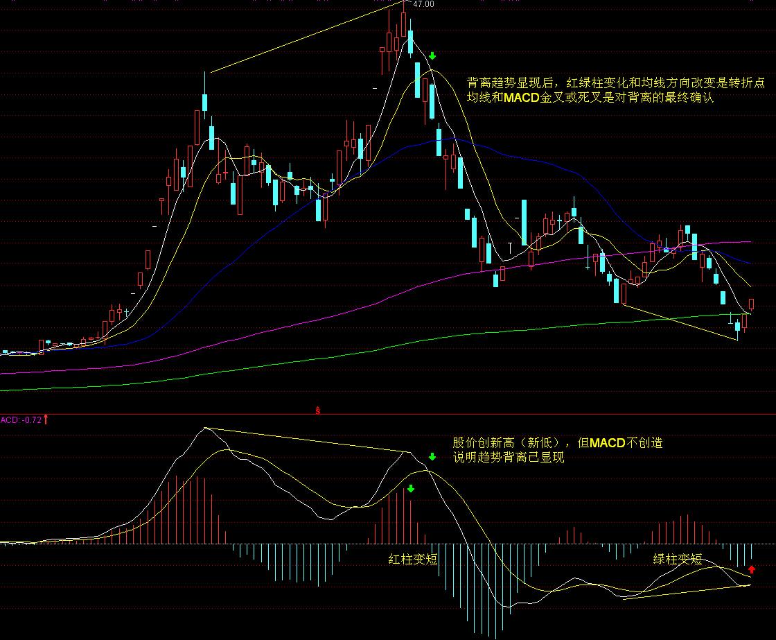 春节假期我市消费市场运行平稳有序