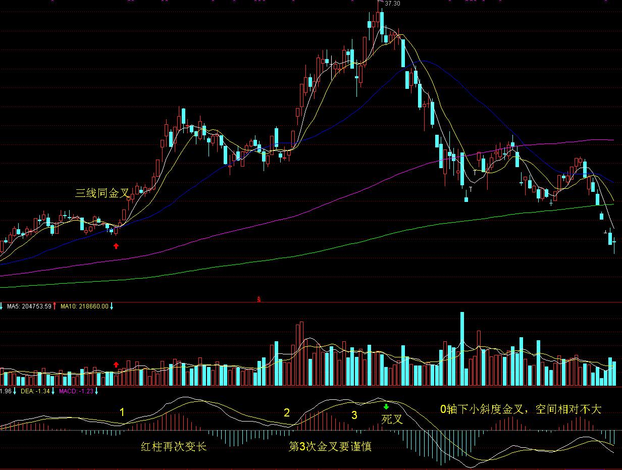 周知！9月1日起，梅县城东、市车管所车辆管理业务全部搬迁至市行政服务中心