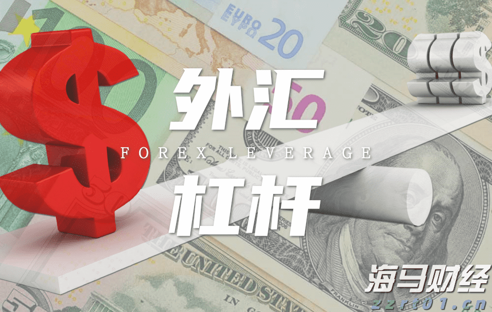 我市举行发展外向型经济工作情况专题协商座谈会