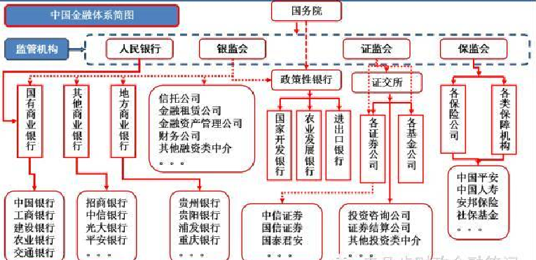  “稀客”紫背椋鸟到访福建