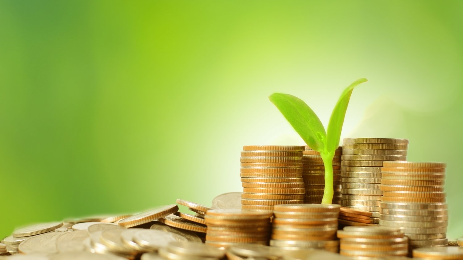 我市加快推进《贵港市扶贫志》编纂工作