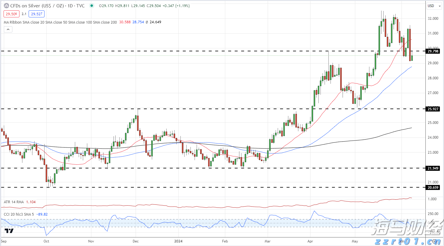 不是“球员”却全场“在线”，致敬十五运会梅州赛区“小海豚”们