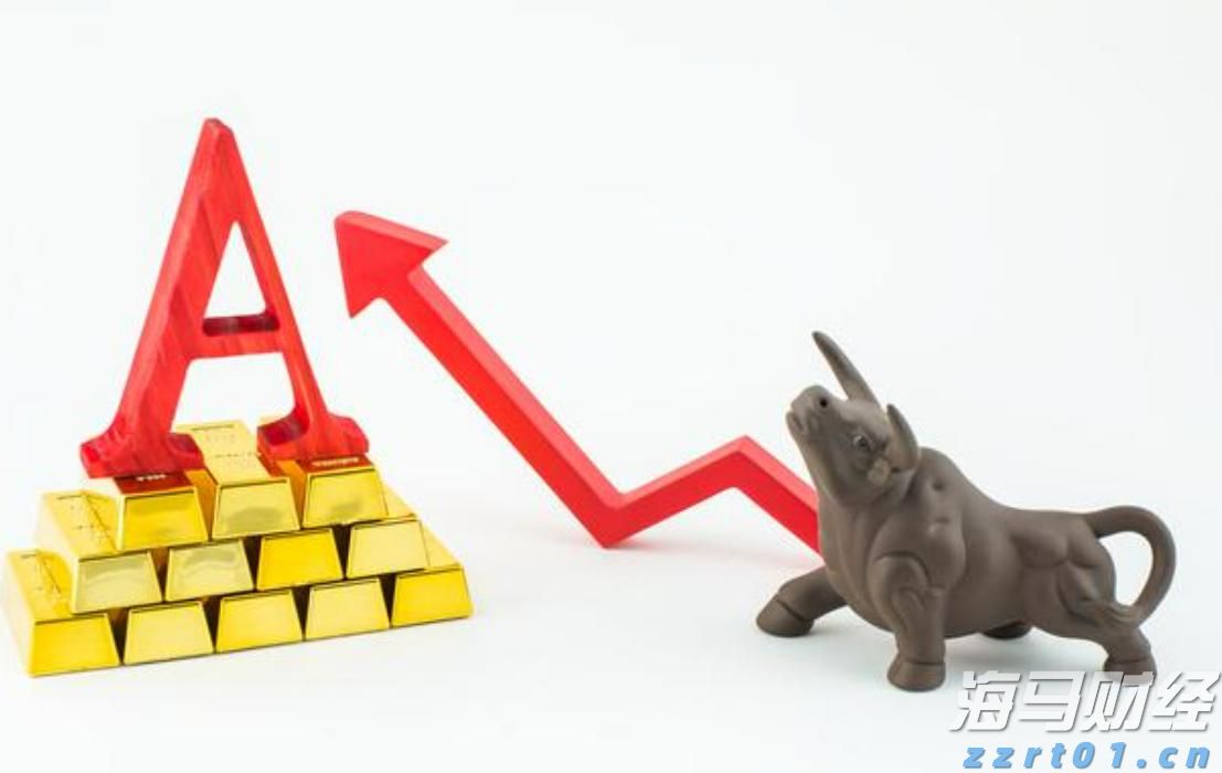 2024年度全国三八红旗手谢冰梅:“回游青年”反哺桑梓 挑起乡村振兴担子