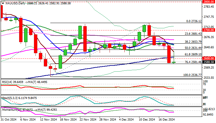 广州国家版本馆正式发布方正文沁永乐大典字体